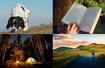 From sniffer dogs to literature to cycling to camping - our guest writers covered a lot of ground this year.