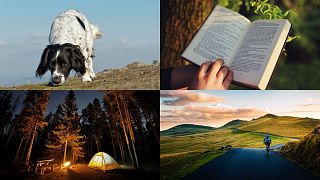 From sniffer dogs to literature to cycling to camping - our guest writers covered a lot of ground this year.