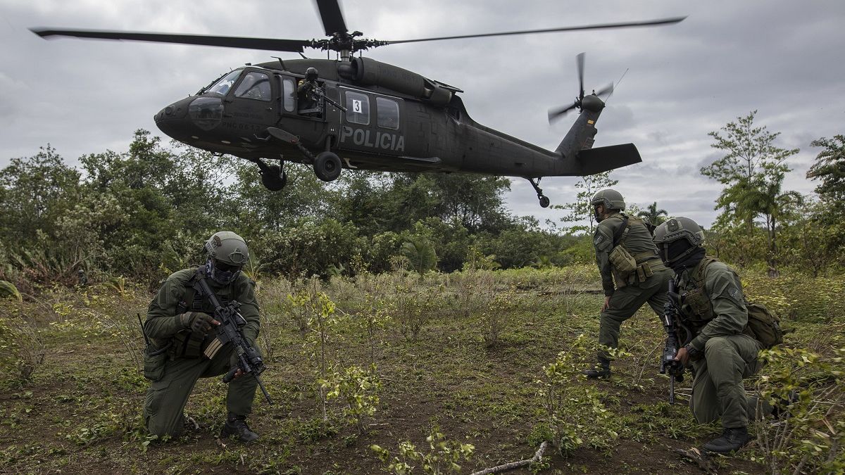 In Colombia lotta ai narcos. Sradicati 130.000 ettari di colture di cocaina