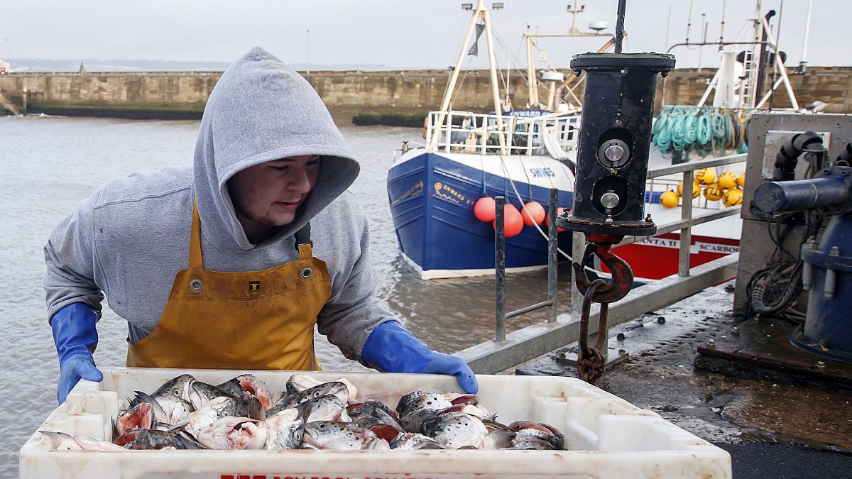 Британское рыболовное дело сильно пострадает после "брексита".