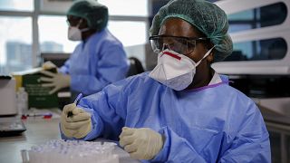 Kenya'nın başkenti Nairobi'de koronavirüs testini inceleyen sağlık görevlileri