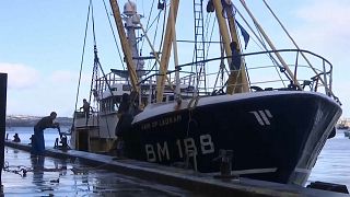 Недовольство британских рыбаков