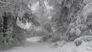 Erster Schneefall des Winters in Saint-Étienne