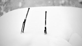 Südtirol: Ehepaar beim Skifahren unter Lawine begraben