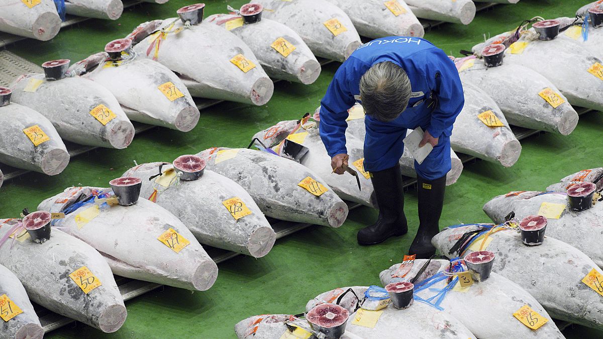 شاهد: بيع سمكة تونة بمبلغ 21 مليون ين في مزاد باليابان