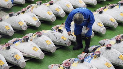 Thunfisch für 21 Millionen Yen