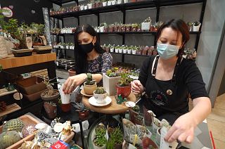 The EU scheme making 'SURE' unemployment stays low