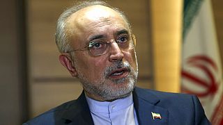 İran Atom Enerjisi Örgütü Başkanı Ali Akbar Salehi.
