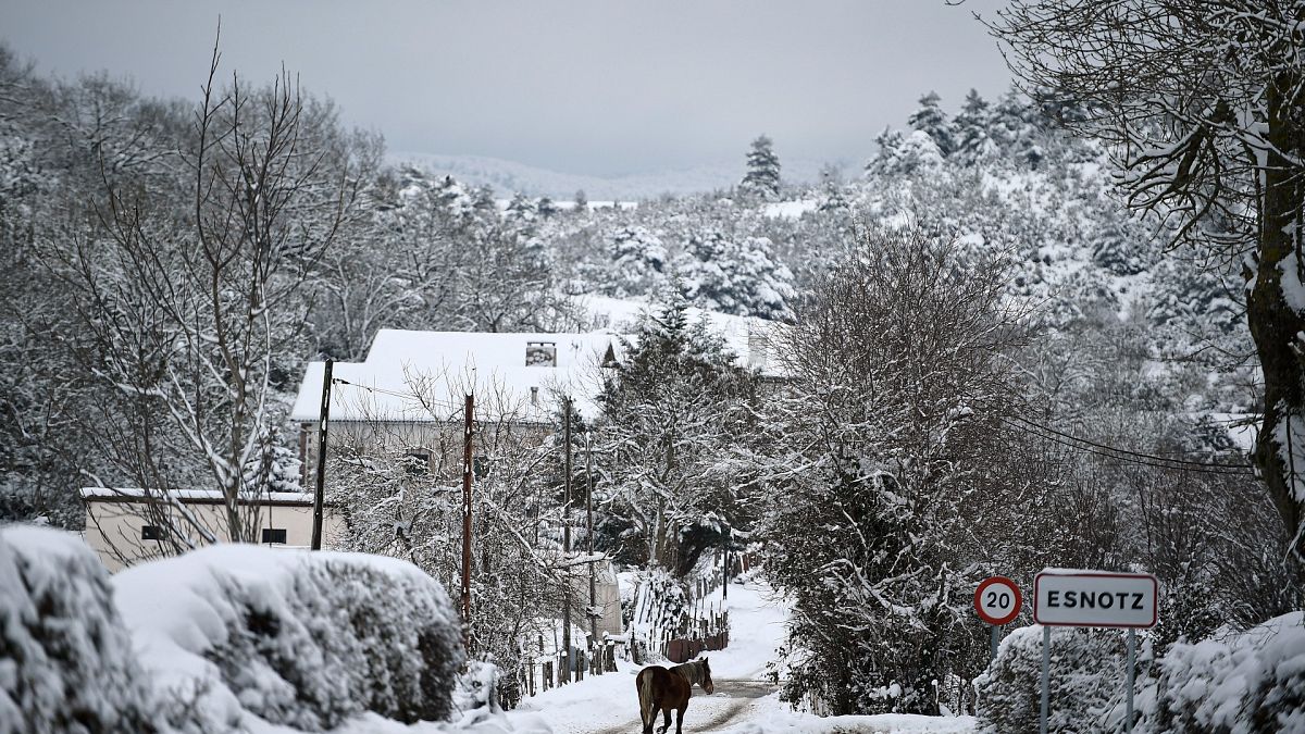A horse walks along the road as snow covers the landscape in the small Pyrenees village of Esnotz, northern Spain, Tuesday, Jan. 5, 2021.