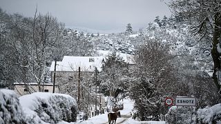 A horse walks along the road as snow covers the landscape in the small Pyrenees village of Esnotz, northern Spain, Tuesday, Jan. 5, 2021.