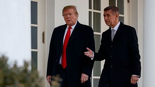 Czech Prime Minister Andrej Babis visisted US President Donald Trump at the White House in March 2019.