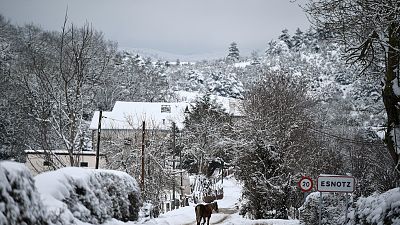 Un caballo camina a lo largo del camino mientras la nieve cubre el paisaje en el pequeño pueblo de Esnotz, en los Pirineos, al norte de España, el martes 5 de enero de 2021. 