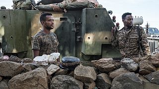Top Tigrayan leaders killed by Ethiopian troops