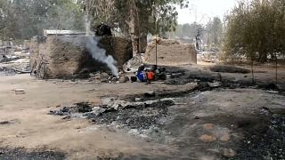 Cameroon: At least 14 killed in Boko Haram attack