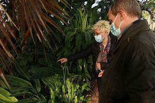 Is the pandemic having an impact on climate change?