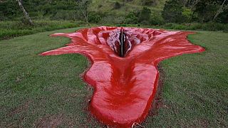 La vulve géante installée au Brésil