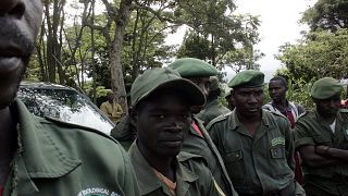 6 Virunga National Park Rangers Killed in Mai-Mai Gunmen Ambush