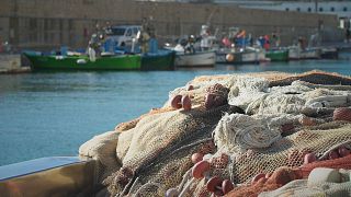 A caccia di reti fantasma nell'Adriatico per preservare la biodiversità