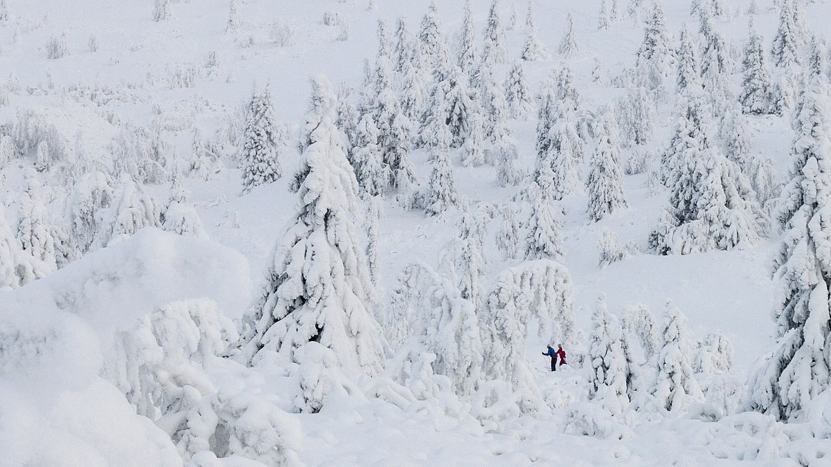Mit Skiern unterwegs in Gausdal, 40 Kilometer nordwestlich von Lillehammer, Norwegen, 9.1.2016