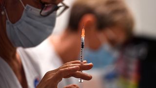MEPs will see EU vaccine contract but calls for more transparency grow