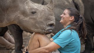 Un orphelinat pour "secourir, requinquer et relâcher" les bébés rhinos