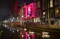 Amesterdão poderá proibir turistas de frequentarem as "coffee shops"