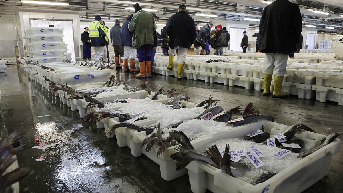 Traders work at Peterhead fish market in Peterhead, north of Aberdeen, northeast Scotland on August 27, 2014. 