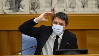 ماتئو رنتزی، سناتور و رهبر حزب« ایتالیا زنده باد»