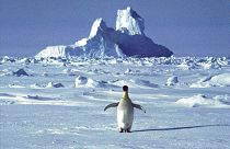 Temperaturas alarmantes na Antártida