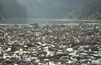  En Bulgarie, une île flottante de déchets sur la rivière Iskar