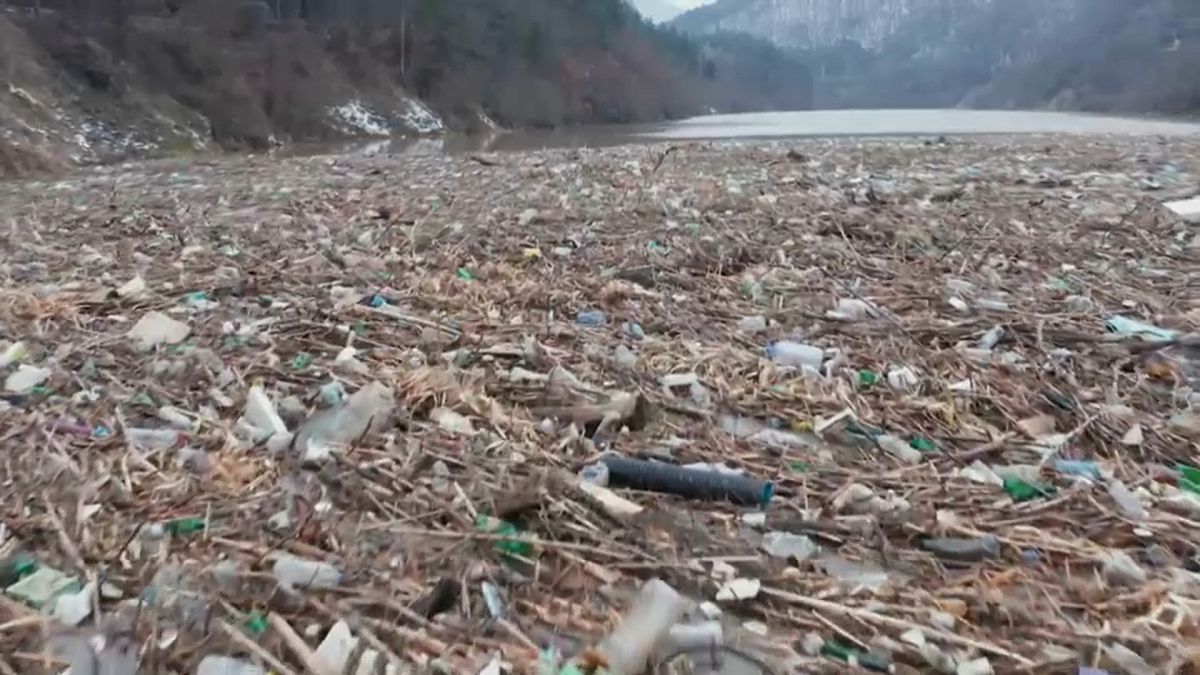 Der riesige Müllteppich auf dem Fluss Iskar nahe Sofia ist nur schwer zu beseitigen