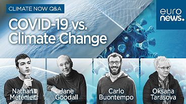 COVID-19 vs. Climate Change - Join our live YouTube debate 