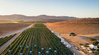 The Negev desert, southern Israel