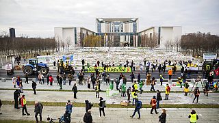 German farmers and animal rights activists protest agricultural policy