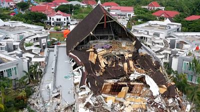 شاهد: فرق الإنقاذ الإندونيسية تستعين بالكلاب للبحث عن المفقودين بسبب الزلزال