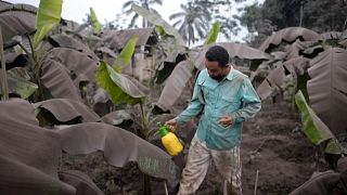Endonezyalılar, Merapi Yanardağı'nın püskürttüğü külleri temizliyor