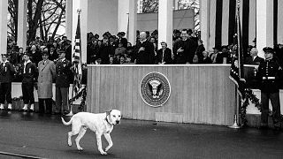 Vice President Richard Nixon laughs as a stray dog joins the inaugural parade and walks in front of the White House in Washington, D.C. January 21, 1957