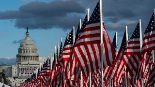 Biden Inauguration Flags