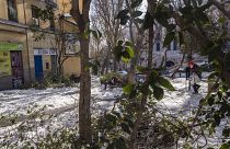Madrid has been fighting to clear wpiles of garbage and thousands of broken trees from the streets following Storm Filomena.