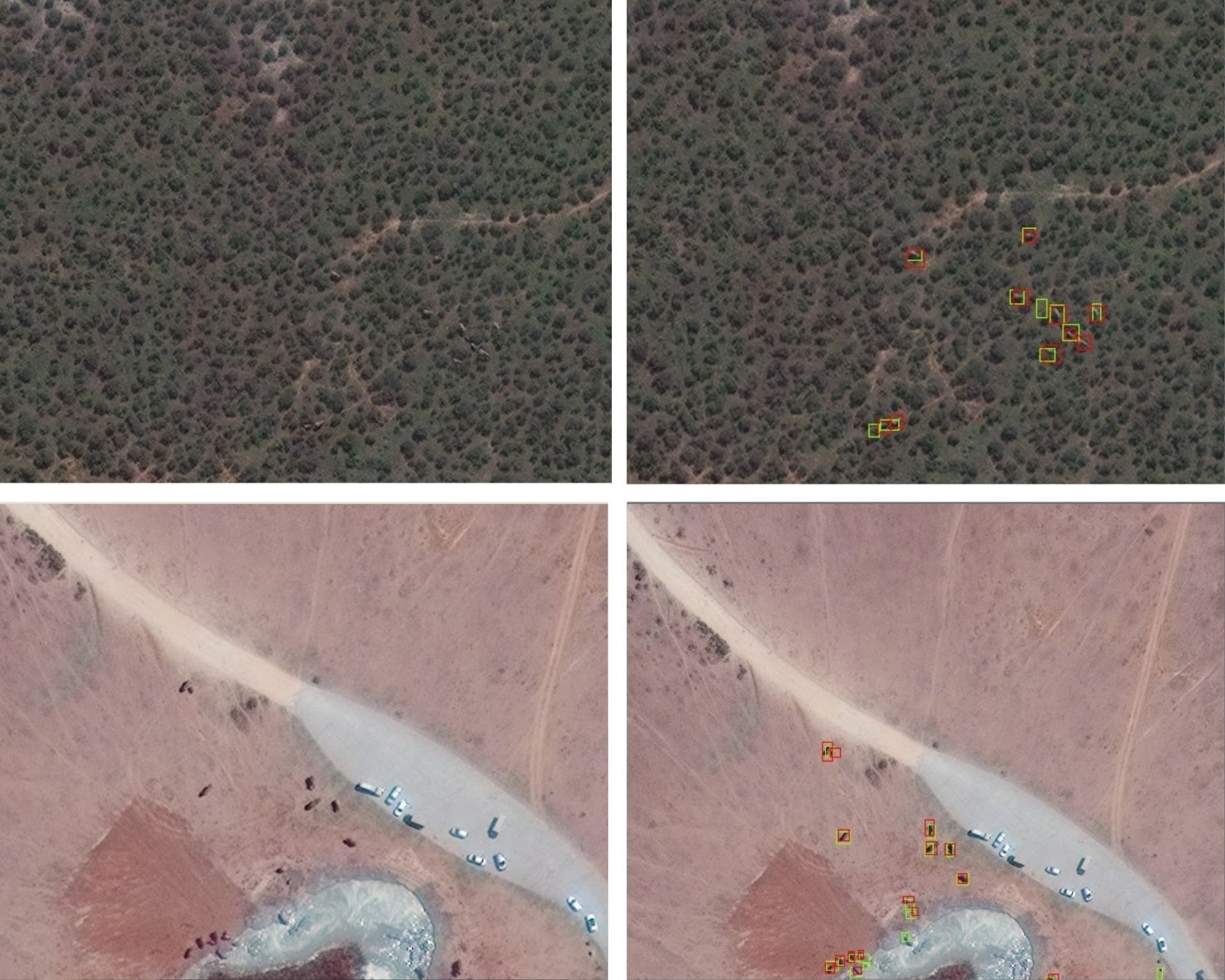 Scientists are using satellites to count elephants from space for the ...