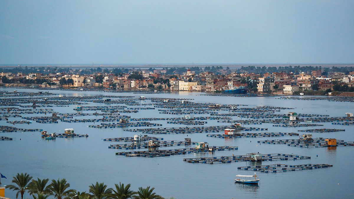 مزرعة أسماك عائمة في دلتا النيل في محافظة البحيرة الشمالية في مصر. 2019/10/24