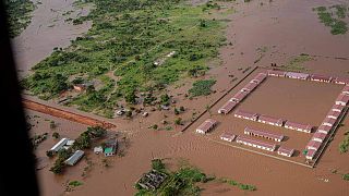 Mozambique: Cyclone Eloise leaves massive flooding in its wake