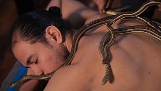 'Therapeutic': Egyptians are turning to snakes for their massage needs