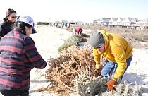 Voluntarios construyendo dunas en Surfside Beach, Texas