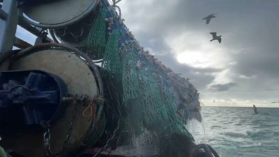 Brexit regrets for UK fishermen as catch values halve due to border delays