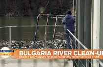 Man cleaning Iskar River 