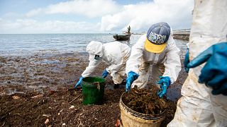 Japan ship operator starts compensation for fishermen over oil spill
