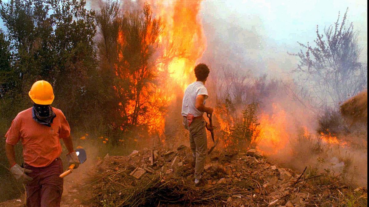 Argentina forest fire (file photo)