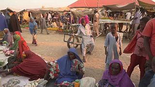 Nigeria : le départ des généraux bien accueilli à Maiduguri