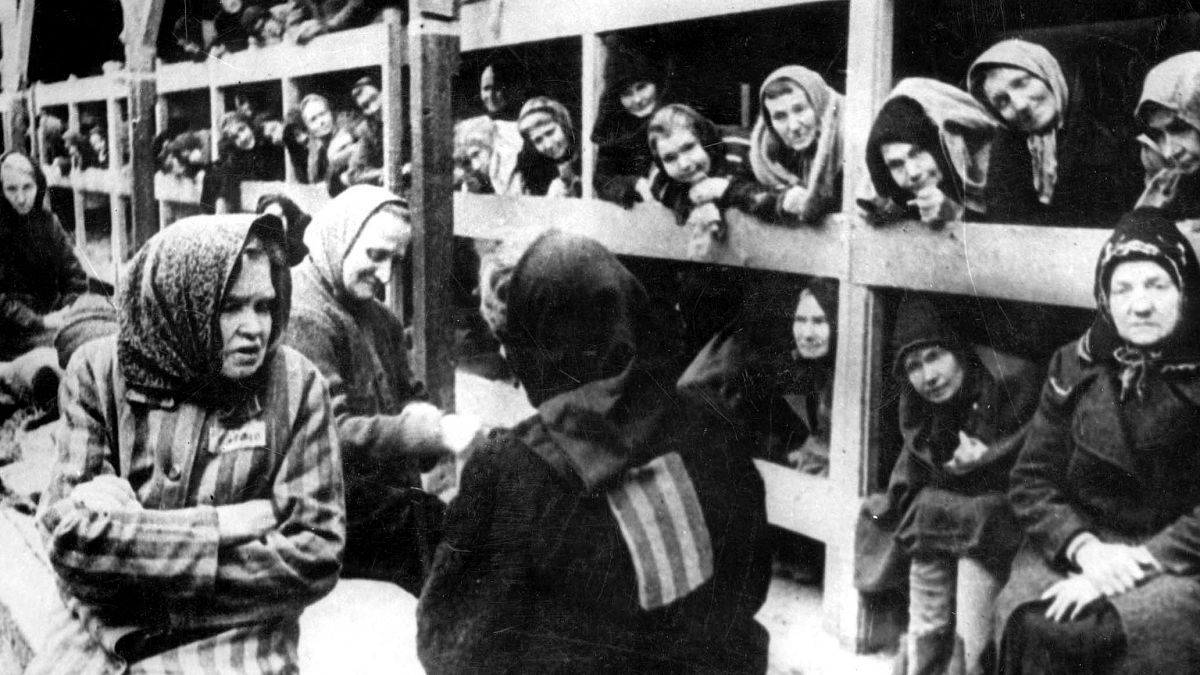عکس در سال‌های جنگ جهانی دوم و از زمان رسیدن زنان و کودکان به اردوگاه آشویتس گرفته شده است.